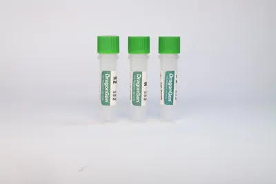 T7 RNA Polymerase