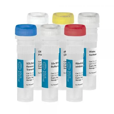 Solis‑RT Reverse Transcriptase