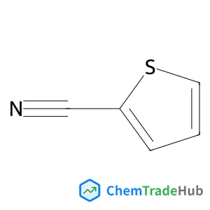 2-Thiophenecarbonitrile 2-Thiophenecarbonitrile