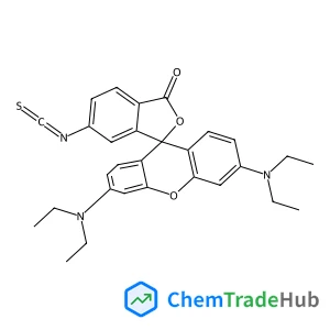 Protein hydrolyzates, yeast