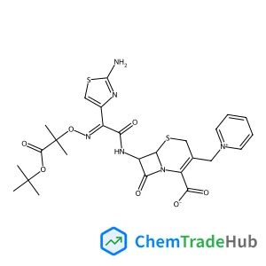 tert-Butyl ceftazidime