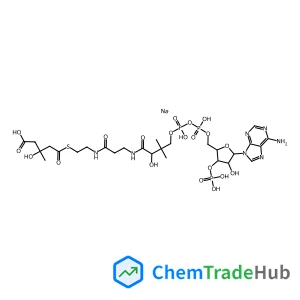 D,L-3-Hydroxy-3-methylglutaryl Coenzyme A trisodium salt