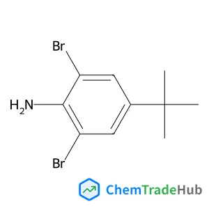 2,6-Dibromo-4-(2-methyl-2-propanyl)aniline