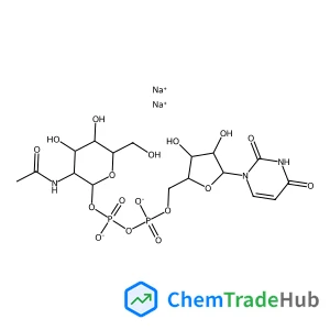 UDP-ALPHA-D-N-ACETYLGALACTOSAMINE, DISODIUM SALT UDP-ALPHA-D-N-ACETYLGALACTOSAMINE, DISODIUM SALT