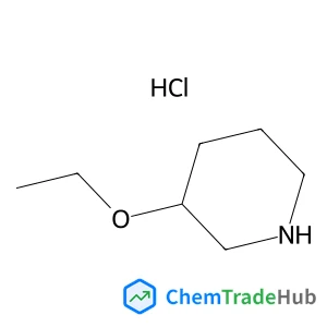 3-Ethoxypiperidine hydrochloride 3-Ethoxypiperidine hydrochloride