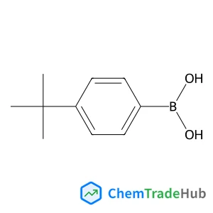 [4-(2-Methyl-2-propanyl)phenyl]boronic acid