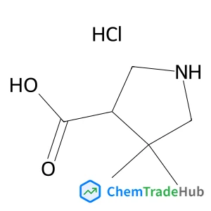 4,4-Dimethyl-3-pyrrolidinecarboxylic acid hydrochloride (1:1) 4,4-Dimethyl-3-pyrrolidinecarboxylic acid hydrochloride (1:1)