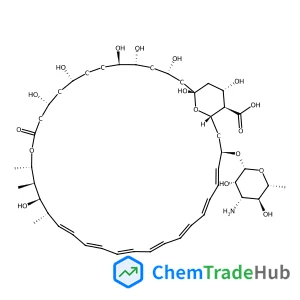 Amphotericin B (250 ug/ml)