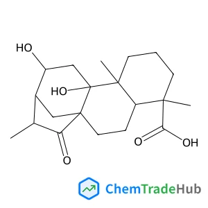 Pterisolic acid E