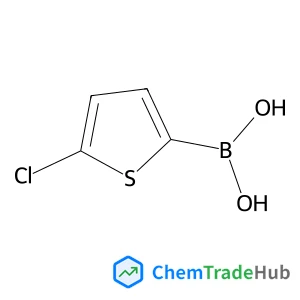 (5-Chloro-2-thienyl)boronic acid