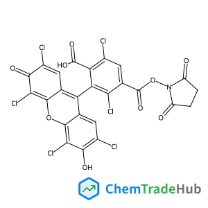 1,4-Benzenedicarboxylic acid, 2,5-dichloro-3-(2,4,5,7-tetrachloro-6-hydroxy-3-oxo-3H-xanthen-9-yl)-, 1-(2,5-dioxo-1-pyrrolidinyl) ester
