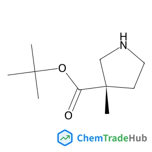 2-Methyl-2-propanyl (3S)-3-methyl-3-pyrrolidinecarboxylate structure