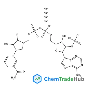 NADPH tetrasodium salt NADPH tetrasodium salt