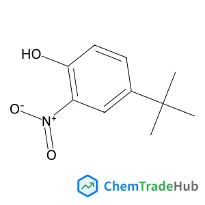 4-(2-Methyl-2-propanyl)-2-nitrophenol