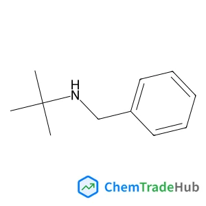 N-Benzyl-2-methyl-2-propanamine