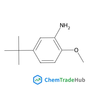 2-Methoxy-5-(2-methyl-2-propanyl)aniline