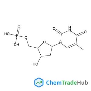 5'-Thymidylic acid