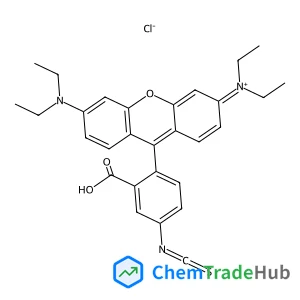 Rhodamine B isothiocyanate