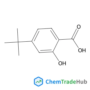 2-Hydroxy-4-(2-methyl-2-propanyl)benzoic acid