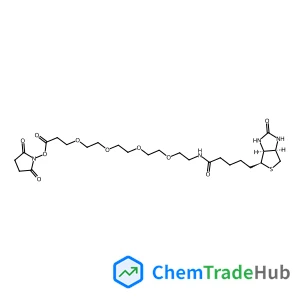 N-{15-[(2,5-Dioxo-1-pyrrolidinyl)oxy]-15-oxo-3,6,9,12-tetraoxapentadec-1-yl}-5-[(3aS,4S,6aR)-2-oxohexahydro-1H-thieno[3,4-d]imidazol-4-yl]pentanamide