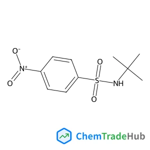 N-tert-butyl-4-nitrobenzene-1-sulfonamide