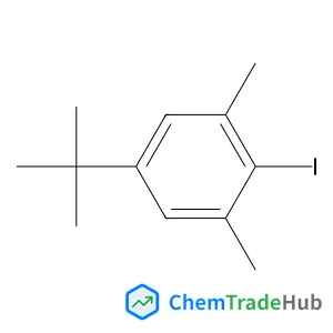 2-Iodo-1,3-dimethyl-5-(2-methyl-2-propanyl)benzene
