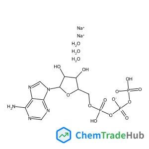 Adenosine 5'-(tetrahydrogen triphosphate), disodium salt, trihydrate Adenosine 5'-(tetrahydrogen triphosphate), disodium salt, trihydrate