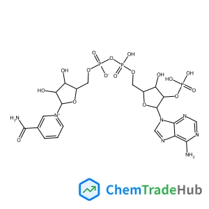 b-Nicotinamide adenine dinucleotide phosphate hydrate