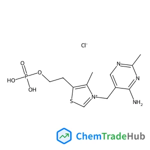 THIAMINE MONOPHOSPHATE