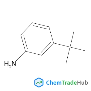 3-(2-Methyl-2-propanyl)aniline