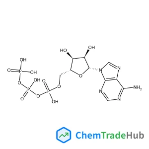 Adenosine 5'-(tetrahydrogen triphosphate)