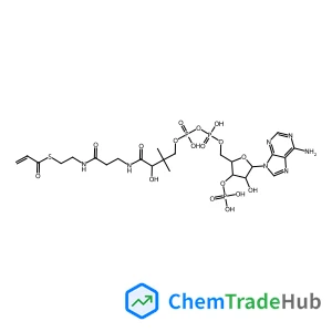S-{(9R)-1-[(2R,3S,4R,5R)-5-(6-Amino-9H-purin-9-yl)-4-hydroxy-3-(phosphonooxy)tetrahydro-2-furanyl]-3,5,9-trihydroxy-8,8-dimethyl-3,5-dioxido-10,14-dioxo-2,4,6-trioxa-11,15-diaza-3lambda~5~,5lambda~5~-
diphosphaheptadecan-17-yl} 2-propenethioate