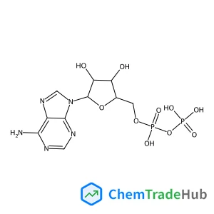 Adenosine 5'-(trihydrogen diphosphate)