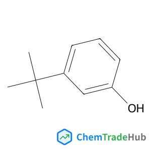 3-(2-Methyl-2-propanyl)phenol