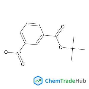2-Methyl-2-propanyl 3-nitrobenzoate