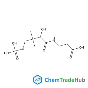 Phosphopantothenic acid