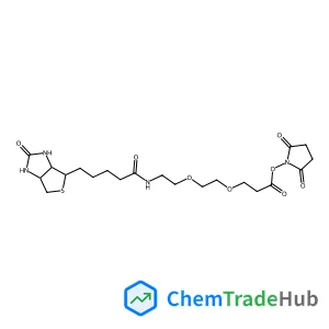 Biotin-PEG2-NHS ester