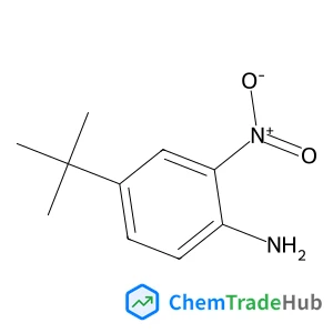 4-(2-Methyl-2-propanyl)-2-nitroaniline