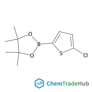 2-(5-Chloro-2-thienyl)-4,4,5,5-tetramethyl-1,3,2-dioxaborolane