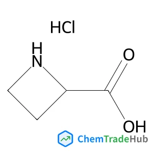 (R)-Azetidine-2-carboxylic acid hydrochloride
