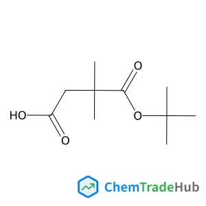 2,2-Dimethylbutanedioic Acid 1-(1,1-Dimethylethyl) Ester