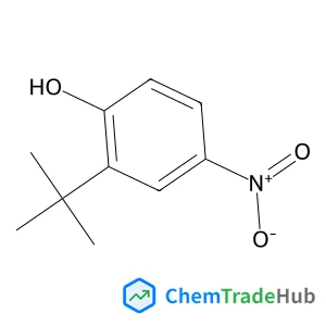 2-(2-Methyl-2-propanyl)-4-nitrophenol