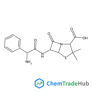 AMPICILLIN
