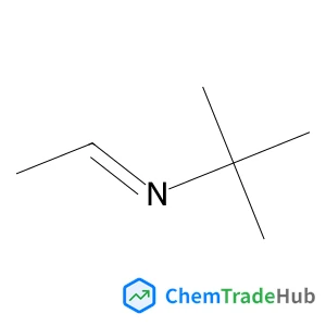 N-ETHYLIDENE TERT-BUTYLAMINE