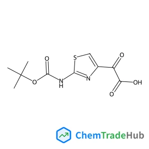 2-[2-(tert-butoxycarbonylamino)thiazol-4-yl]-2-oxo-acetic acid