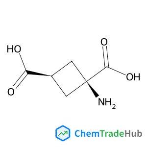 trans-1-Amino-1,3-cyclobutanedicarboxylic acid
