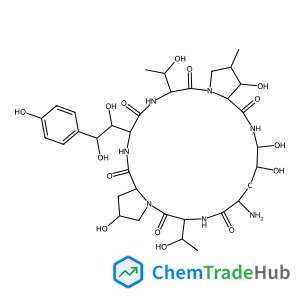 Echinocandin B, 1-[(4R,5R)-4,5-dihydroxy-L-ornithine]-