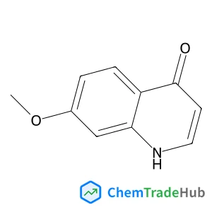 Fir Needle Oil