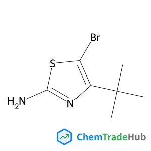 5-Bromo-4-(2-methyl-2-propanyl)-1,3-thiazol-2-amine 5-Bromo-4-(2-methyl-2-propanyl)-1,3-thiazol-2-amine