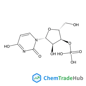 URIDYLIC ACID